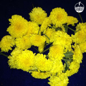Chammanthi Flower (Yellow)
