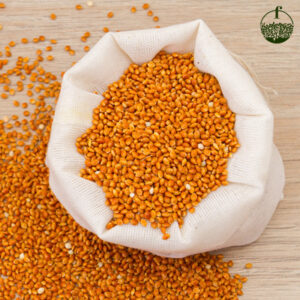 Little Millet (Saamai)