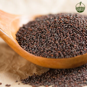 Mustard Seed 200GM