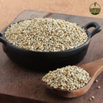 Pearl Millet (Kambu)