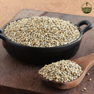 Pearl Millet (Kambu)